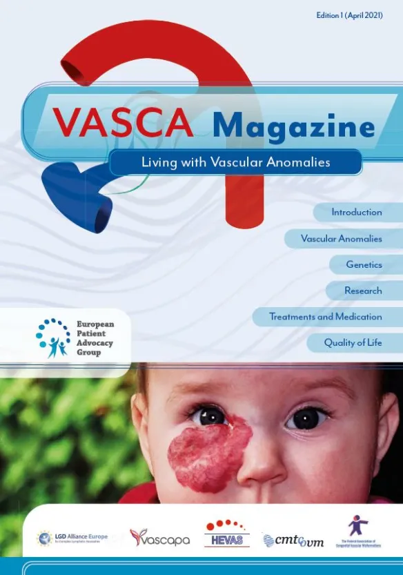 Titelbild des VASCA Magazine #1, 20021