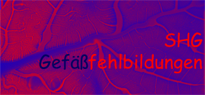 Logo von SHG Gefäßfehlbildungen (Österreich)